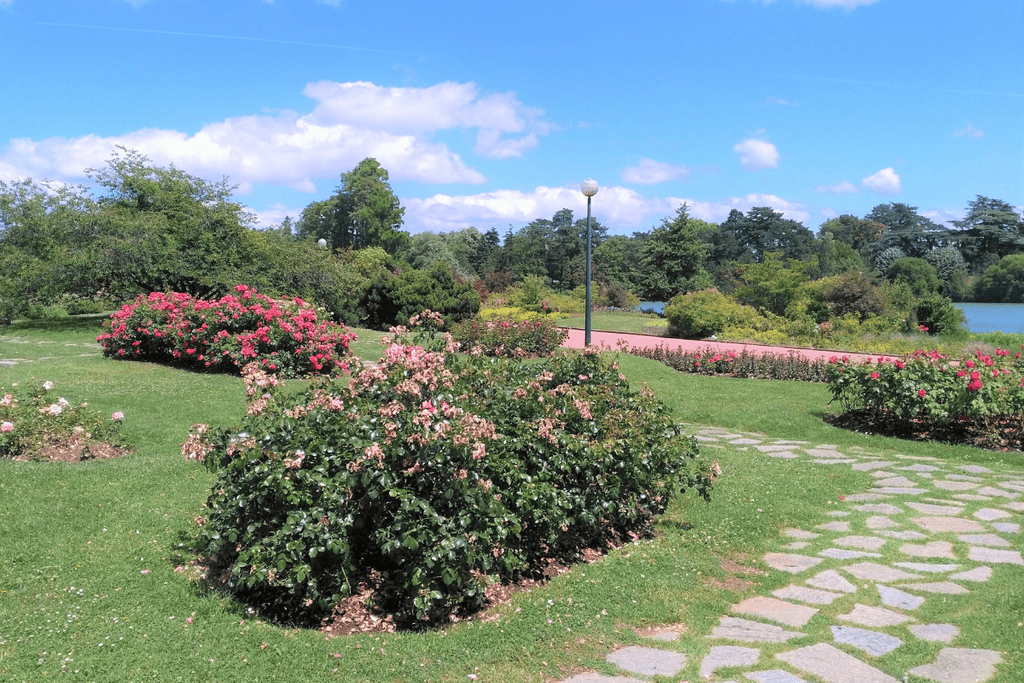 Blooming flowers in Parc de la Tête d'Or in Lyon, France during spring.